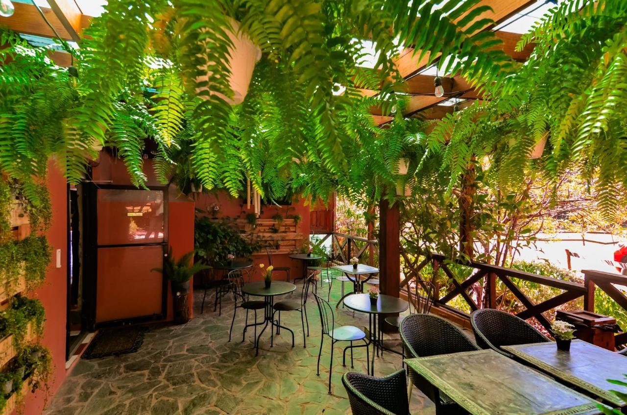 Hotel Rancho Constanza & Cabanas De La Montana Eksteriør billede